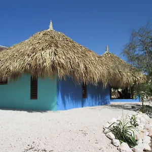 Don Genaro Apartment